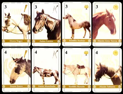 poker