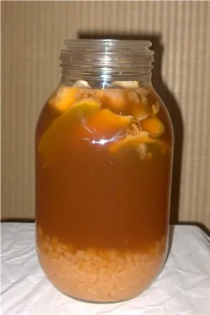 hongos sanadores