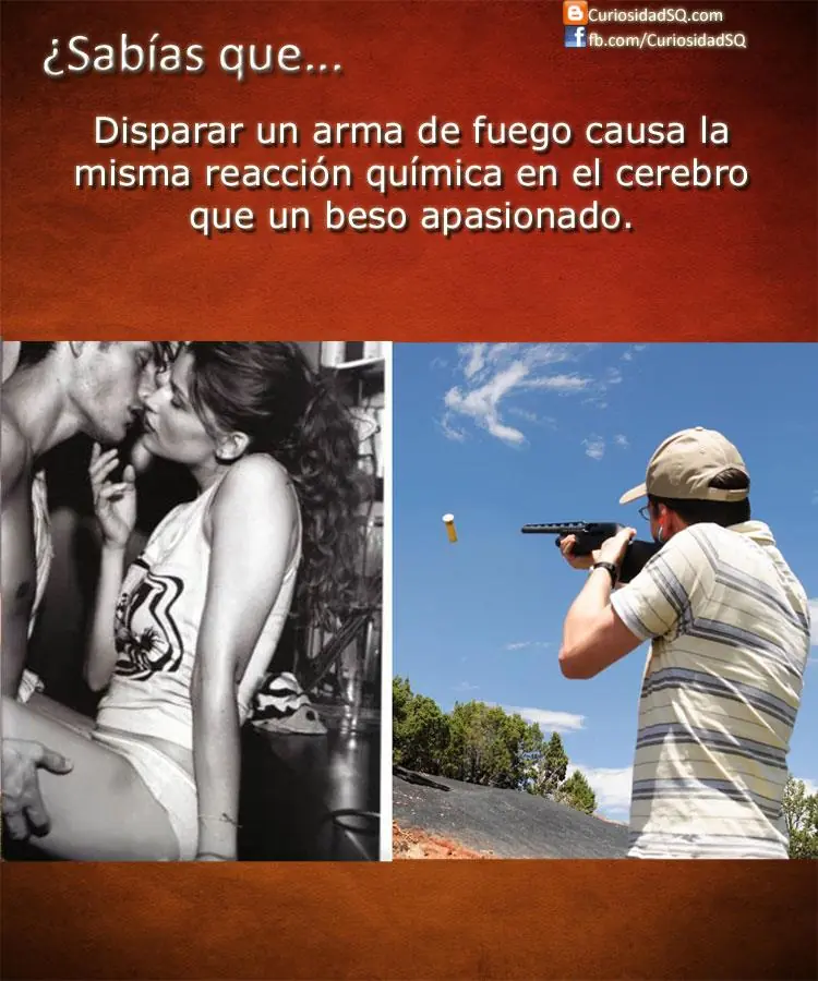 datos curiosos