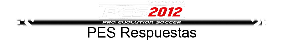 pes 2013