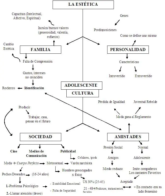 La Estetica en el Adolescente Actual (Esquema)