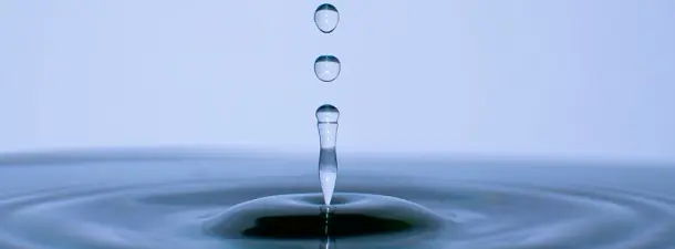 reflex
