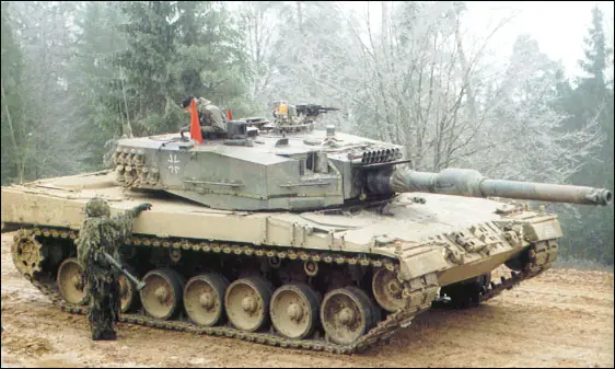 leopard