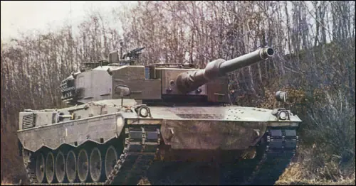 leopard