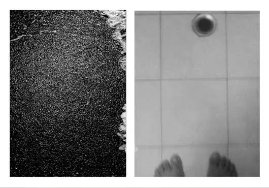 D1 estética de la fotografía a una estética de la imagen