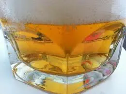 Beneficios de la Cerveza en la Salud