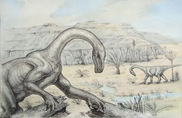 evolución