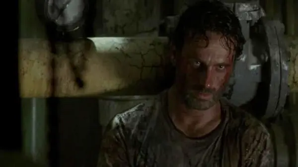 shane