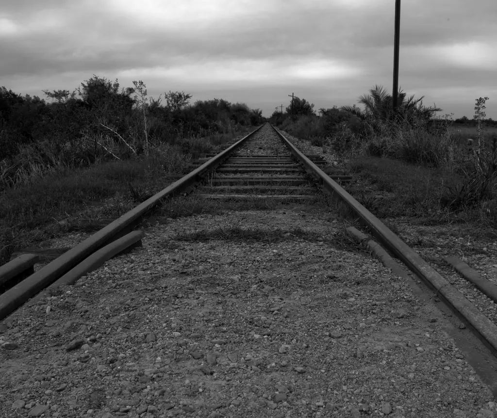 blanco y negro