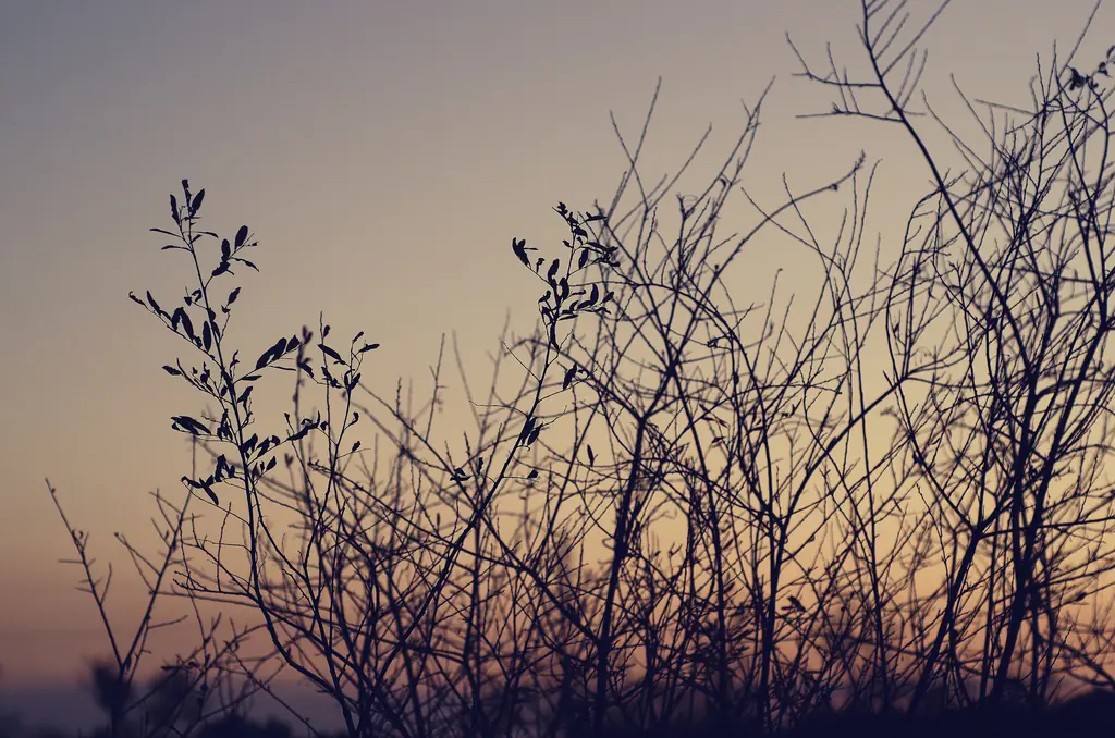naturaleza
