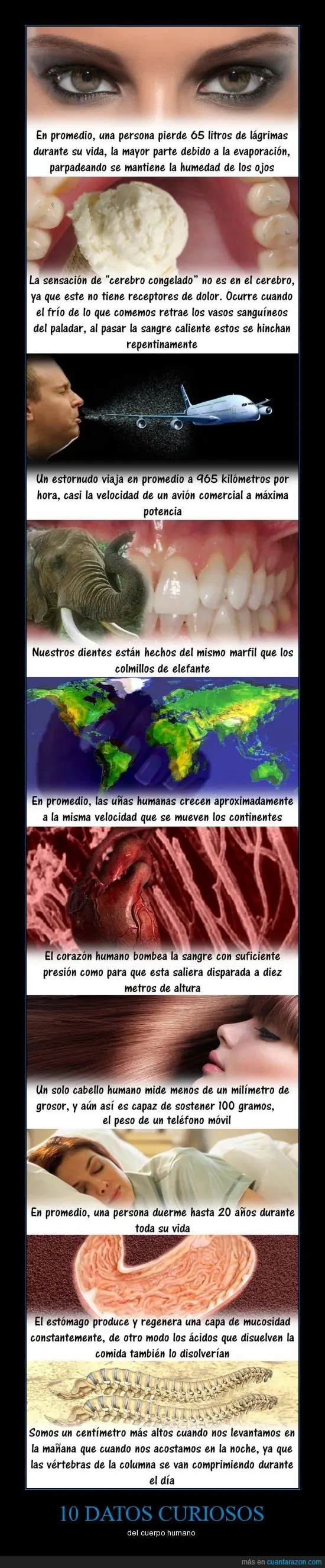 informacion variada