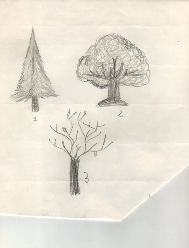 Arbol