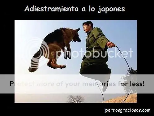Imagenes graciosas