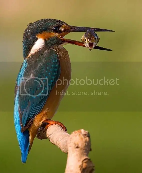 Megapost fotos muy graciosas