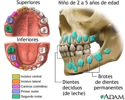 taringa