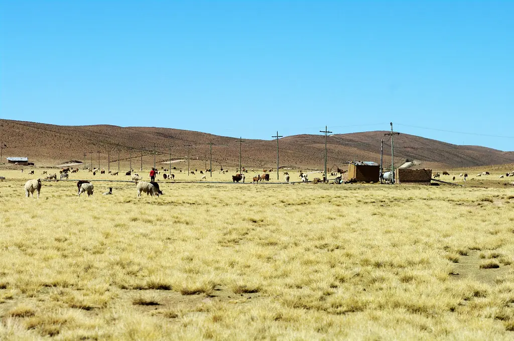 bolivia