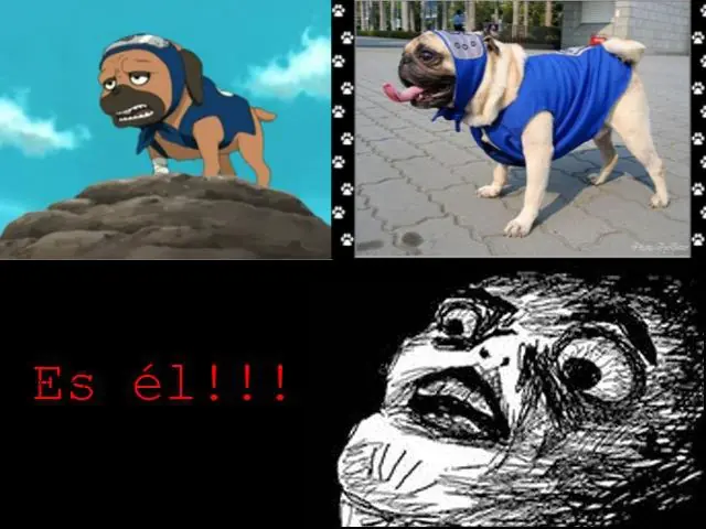 Imágenes, Viñetas y Fail [archimega requeterrecontra post]