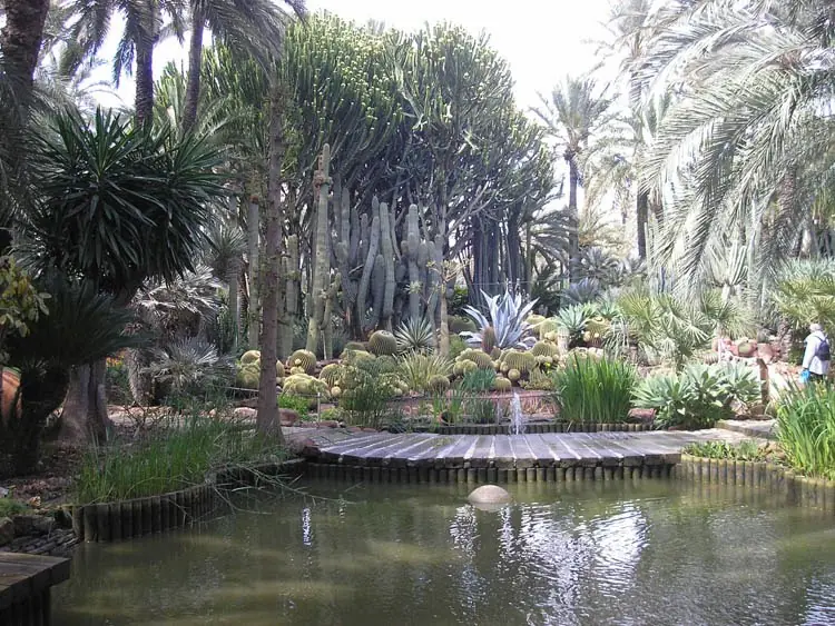 La palma blanca: la artesanía tradicional de Elche -España