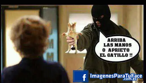 fotos para facebook