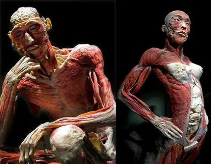 Bodies...Cuerpos al Desnudo