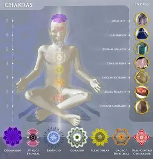 Yoga:Los chakras según Hiroshi Motoyama
