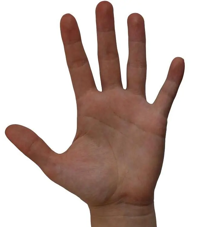 25 datos curiosos del cuerpo humano