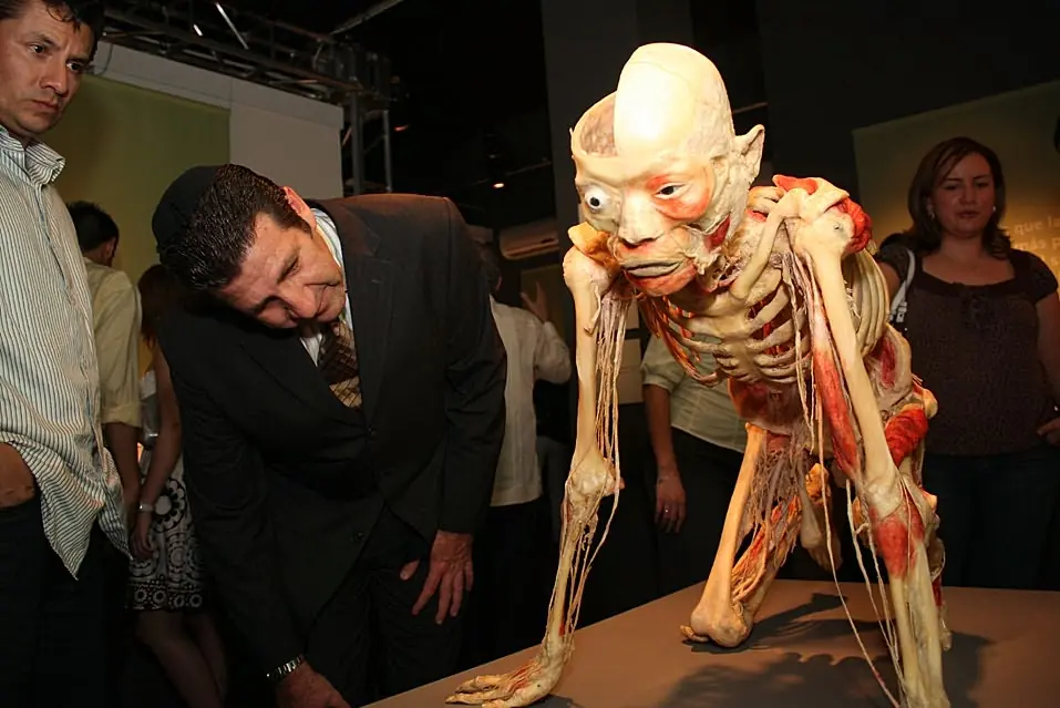 Bodies Revealed: El cuerpo humano al descubierto!!