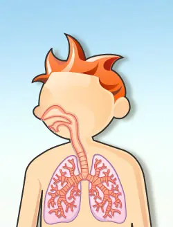 cuerpo humano