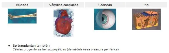 donacion de organos