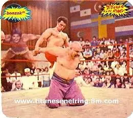 pequeño homenaje a titanes en el ring