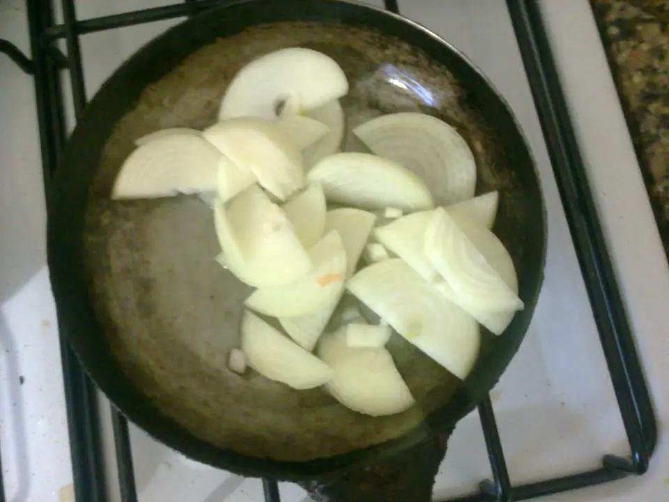 vegetariano