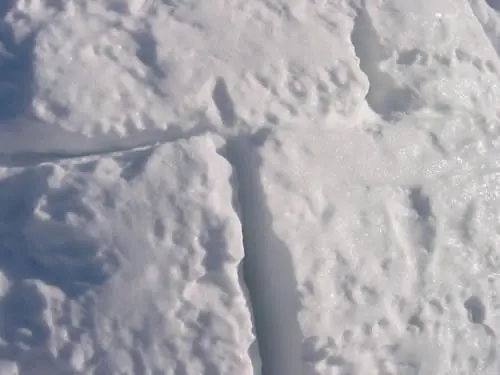 construite un iglu para hibernar como un oso