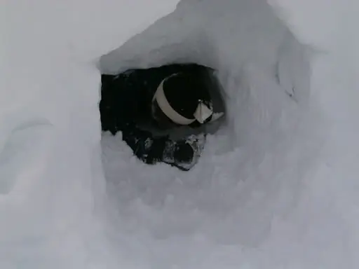 construite un iglu para hibernar como un oso