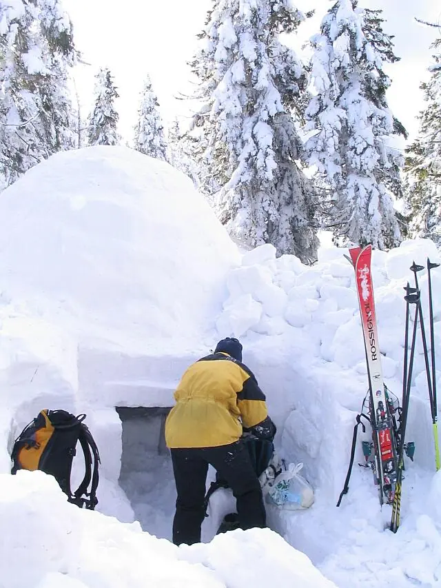 construite un iglu para hibernar como un oso