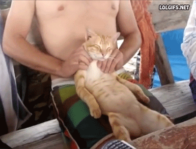 Gifs Para Reirse
