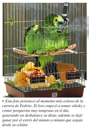 loro