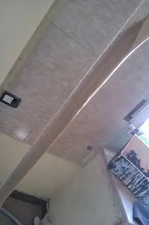 nya musica