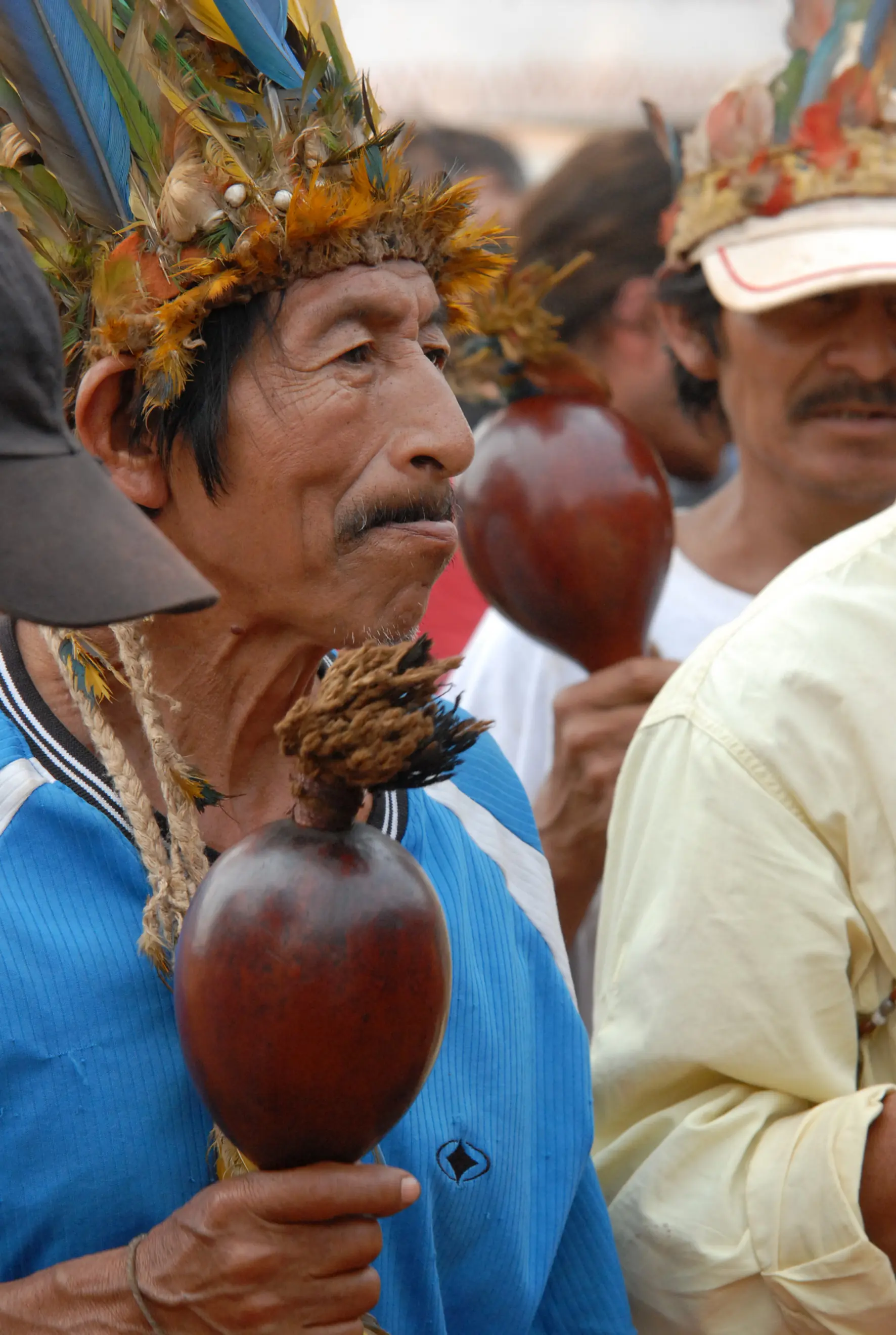 orgullo
