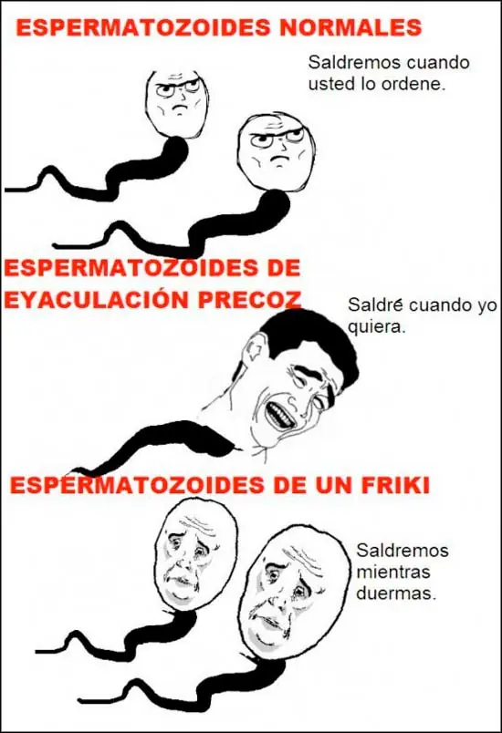 Memes, Memes y mas Memes para Reirse