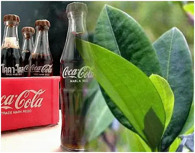 ¿Te drogas con esto?