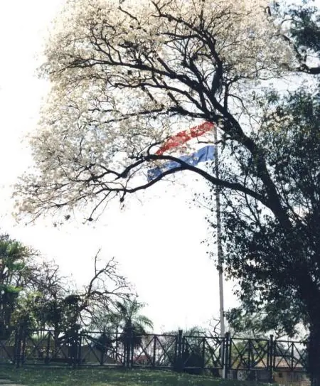 paraguay