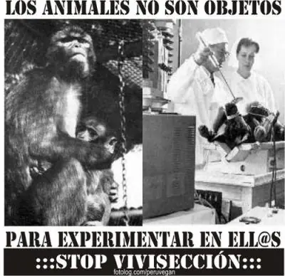 viviseccion,el holocausto impune