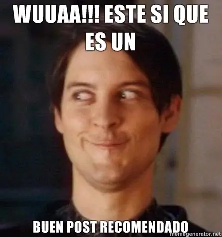 manager de downloads