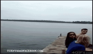 Gifs Grasiosos y buenos