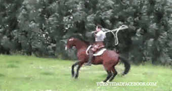 Gifs