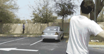 Gifs Grasiosos