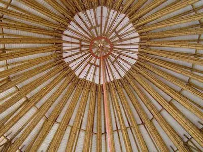 Bambu