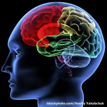 Una posible cura para derrames cerebrales