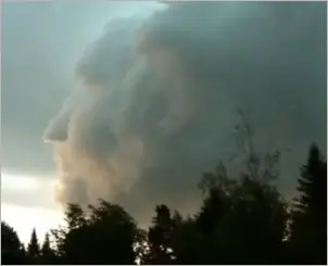 terror