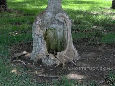 paranormal